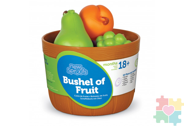 Развивающая игрушка "Фрукты в ведерке" (серия New Sprouts, 10 элементов)