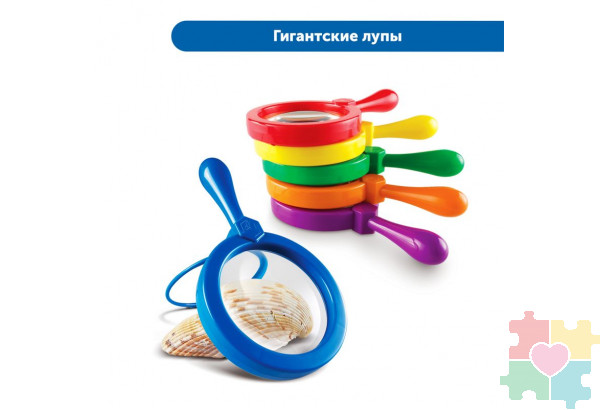 Юный энтомолог в детском саду (комплект для группы)