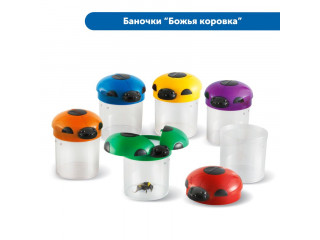 Юный энтомолог в детском саду (комплект для группы)