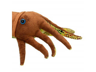 Мягкая игрушка Каракатица, 25 см