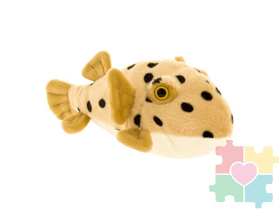 Мягкая игрушка Рыба-шар, 25 см