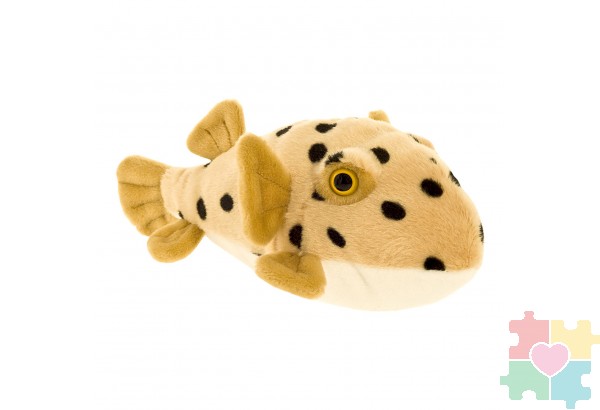 Мягкая игрушка Рыба-шар, 25 см