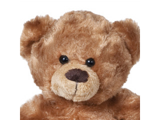 Мягкая игрушка Мишка 20 см