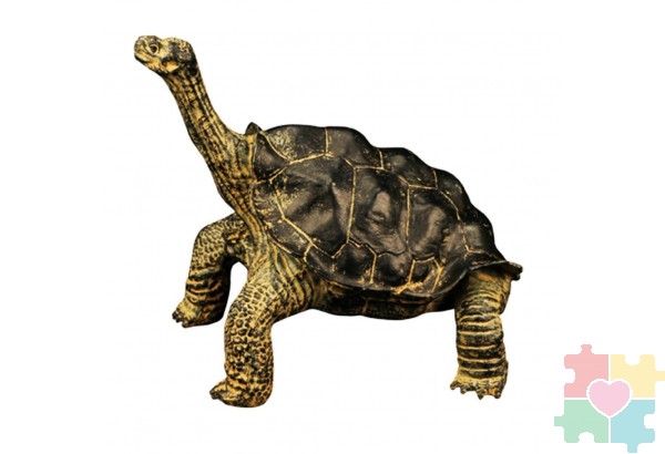 Фигурка игрушка серии "Мир диких животных": рептилия Звезчатая черепаха