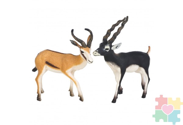 Набор фигурок животных серии "Мир диких животных": Антилопы Джейран и Гарна