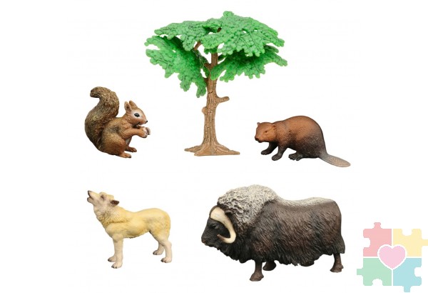Набор фигурок животных серии "Мир диких животных": овцебык, бобер, волк, белка (набор из 5 предметов)