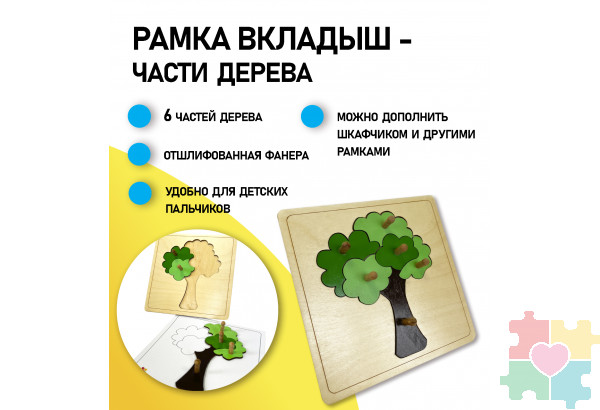 Части дерева