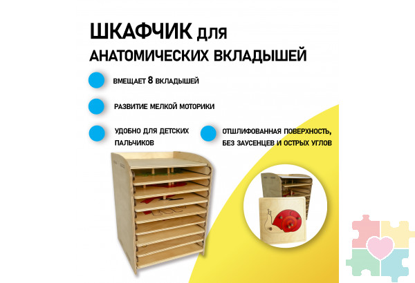 Шкафчик для анатомических рамок-вкладышей