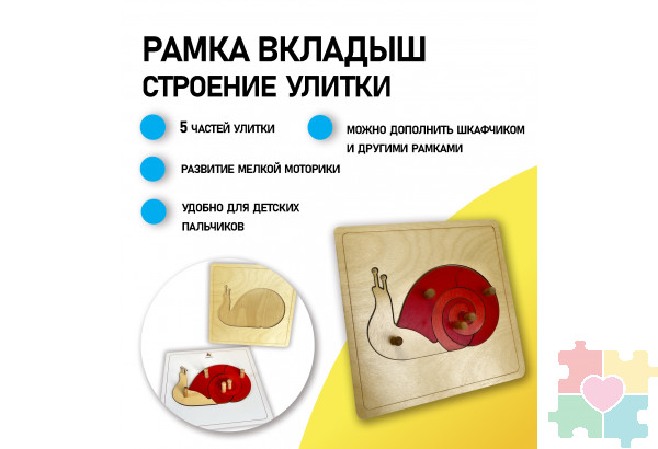 Строение улитки