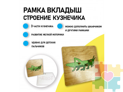 Строение кузнечика