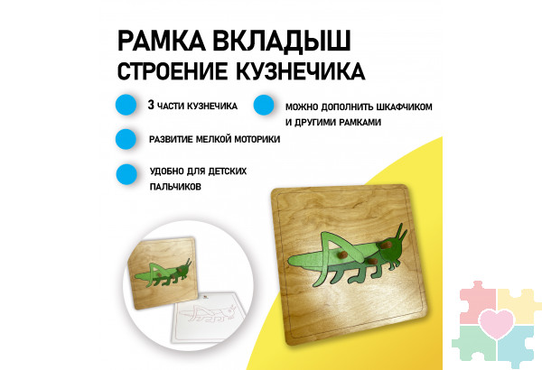Строение кузнечика