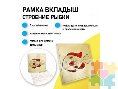 Строение рыбки