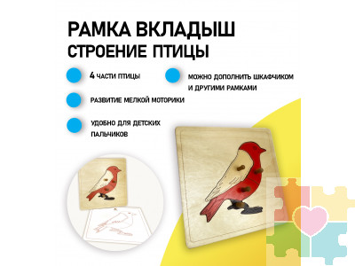 Строение птицы