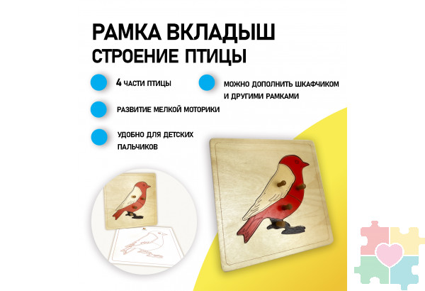 Строение птицы