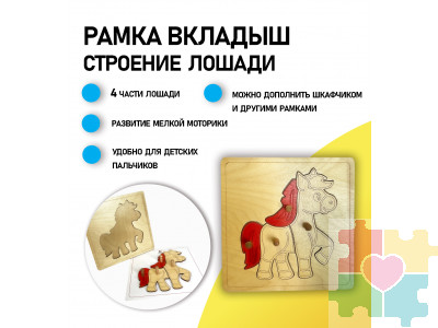 Строение лошади