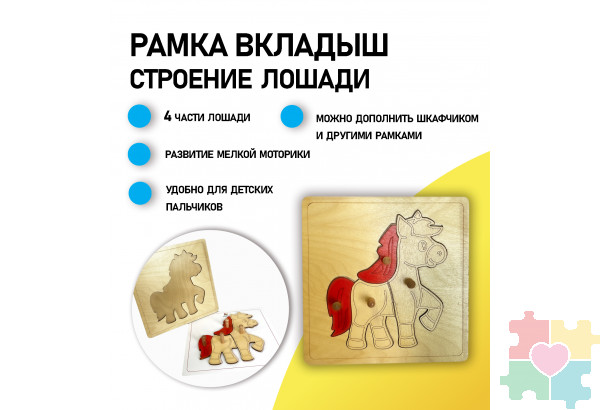 Строение лошади