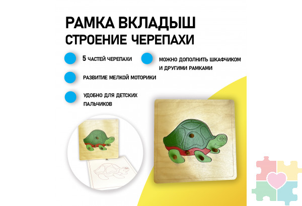 Строение черепахи