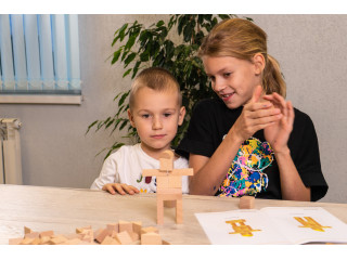 Игровой набор Дары Фребеля 14 модулей с методическим пособием (1 книга)