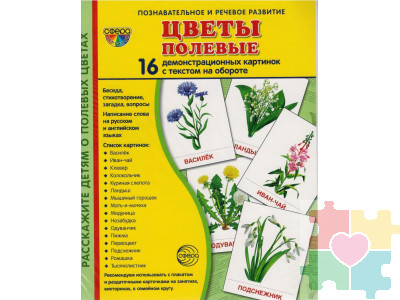 Демонстрационные карточки "Цветы полевые" (размер большой,16 штук)