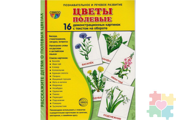 Демонстрационные карточки "Цветы полевые" (размер большой,16 штук)