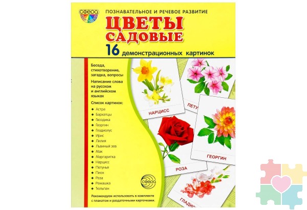 Демонстрационные карточки "Цветы садовые" (размер большой,16 штук)