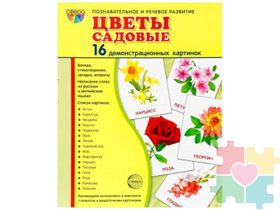 Демонстрационные карточки "Цветы садовые" (размер большой,16 штук)