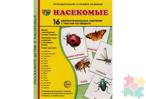 Демонстрационные карточки "Насекомые" (размер большой,16 штук)