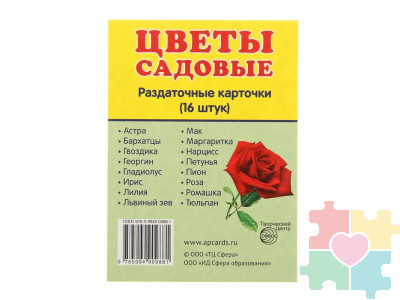 Демонстрационные карточки "Цветы садовые"(63х87 мм)