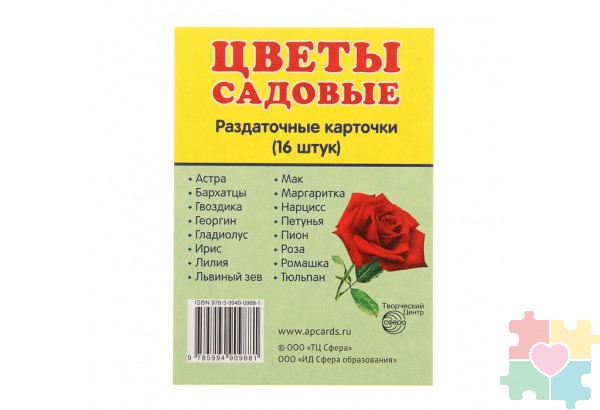 Демонстрационные карточки "Цветы садовые"(63х87 мм)