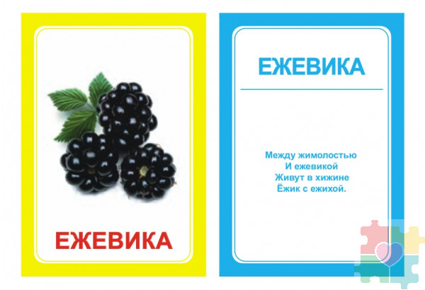 Логопедические картинки для автоматизации звука "Ж" (комплект 30 шт)