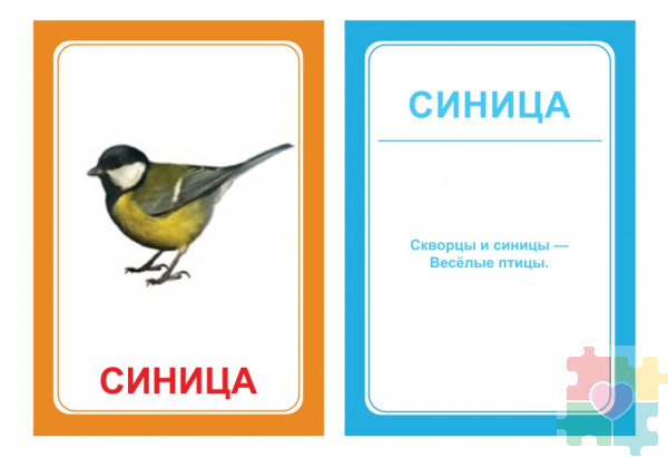 Логопедические картинки для автоматизации звука "Ц" (комплект 30 шт)
