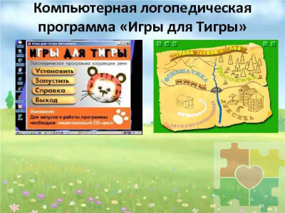 Компьютерная логопедическая программа “Игры для Тигры” (Лицензионная версия)