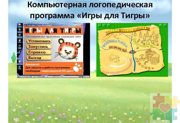 Компьютерная логопедическая программа “Игры для Тигры” (Лицензионная версия)