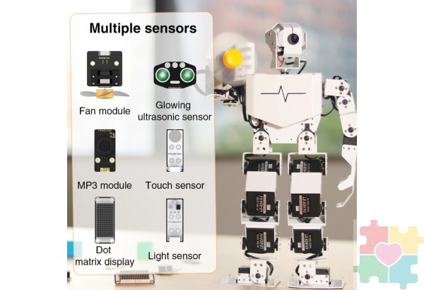 Образовательный робототехнический комплект Tony Pi PRO. Андроидный робот гуманоид. Продвинутый комплект