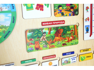 Настенный календарь природы