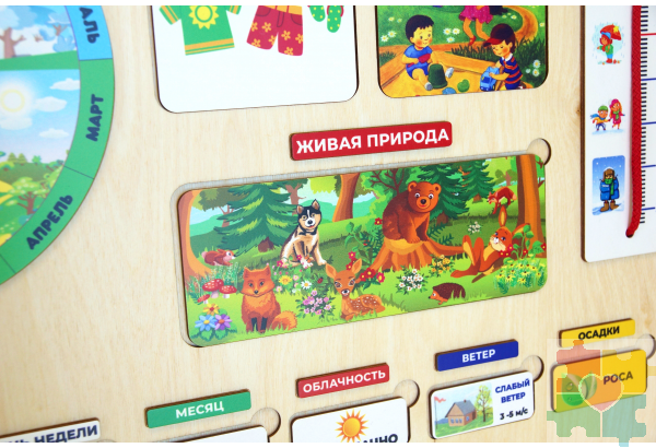 Настенный календарь природы