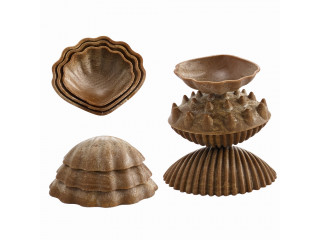 Ракушки морские (тактильные) Эко (36 шт.)