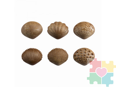 Ракушки морские (тактильные) Эко (36 шт.)