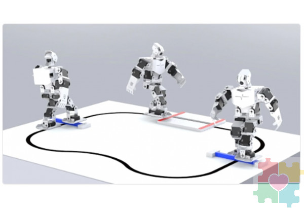 Базовый робототехнический набор для изучения систем управления робототехническими комплексами и андроидными роботами "Сережа ИН Про". Полный комплект на Raspbery Pi