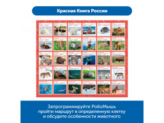 Комплект тематических полей "Чудеса России" для РобоМыши