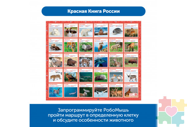 Комплект тематических полей "Чудеса России" для РобоМыши