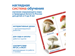 Модуль "Деревья, цветы, грибы России"