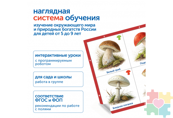 Модуль "Деревья, цветы, грибы России"