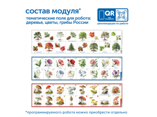 Модуль "Деревья, цветы, грибы России"