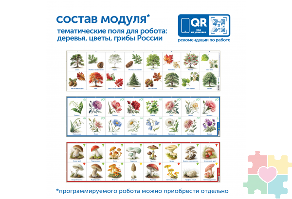Модуль "Деревья, цветы, грибы России"