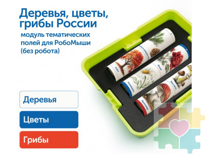 Модуль "Деревья, цветы, грибы России"