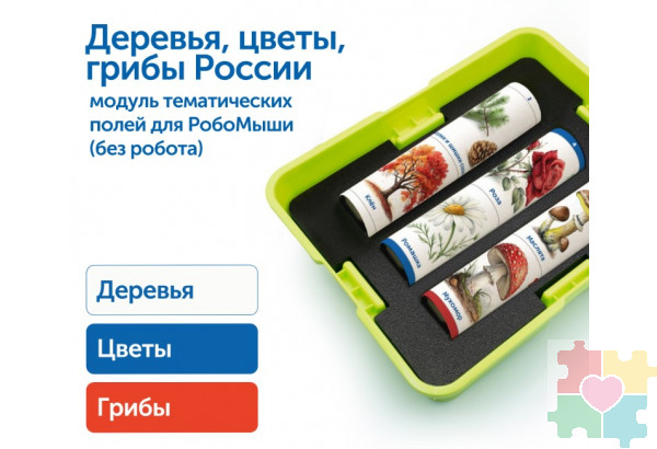 Модуль "Деревья, цветы, грибы России"