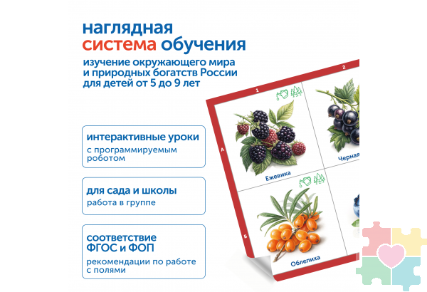 Модуль "Овощи, фрукты, ягоды России"
