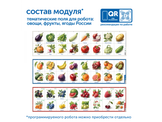 Модуль "Овощи, фрукты, ягоды России"