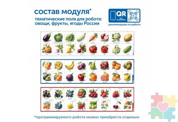 Модуль "Овощи, фрукты, ягоды России"